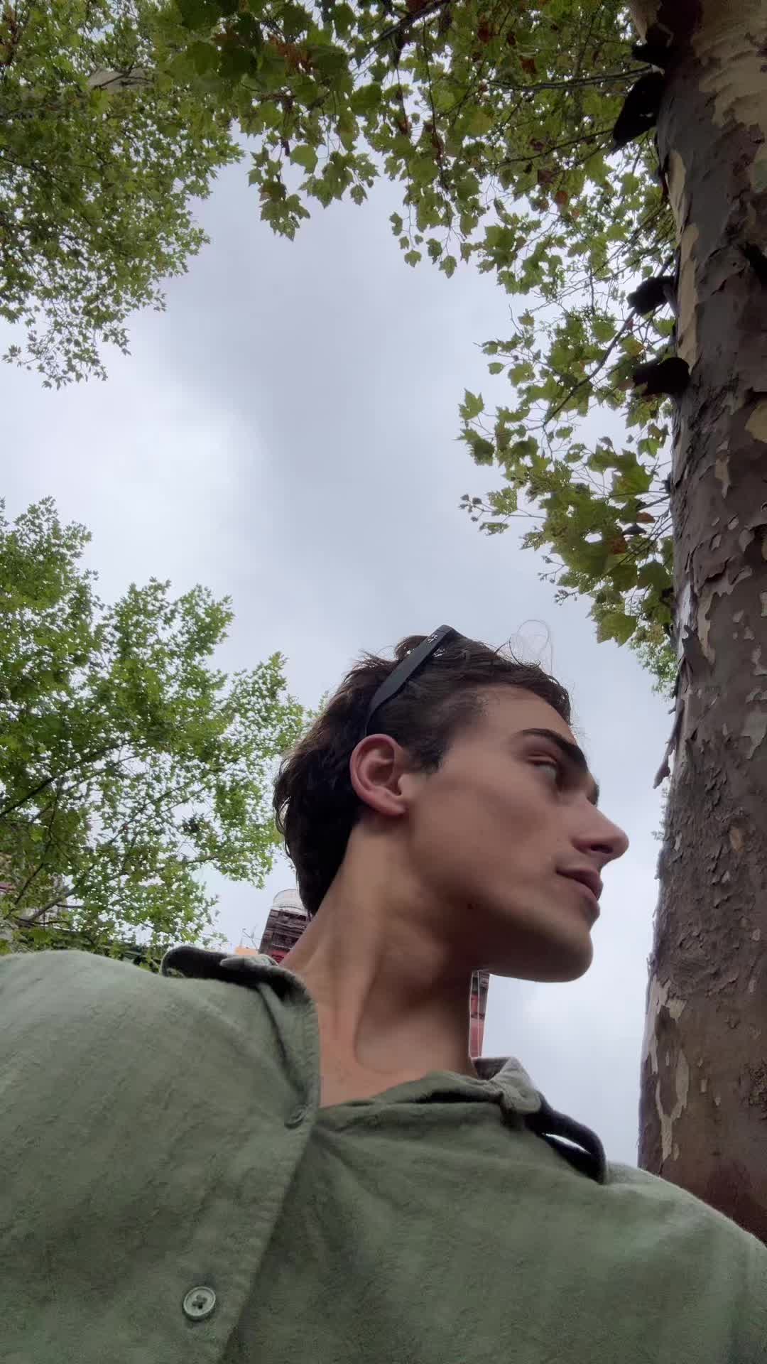 @maxcohensen