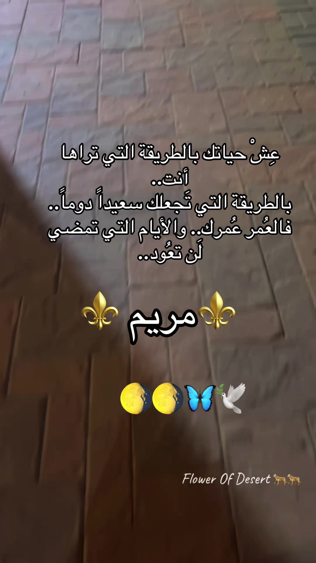 @Ma'aliyah🐆🐆🌕