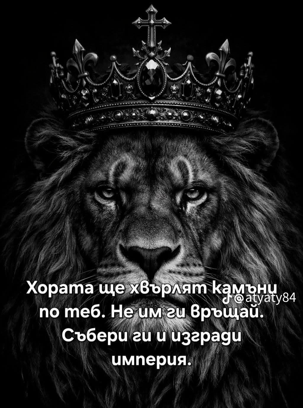 @Elena Georgieva