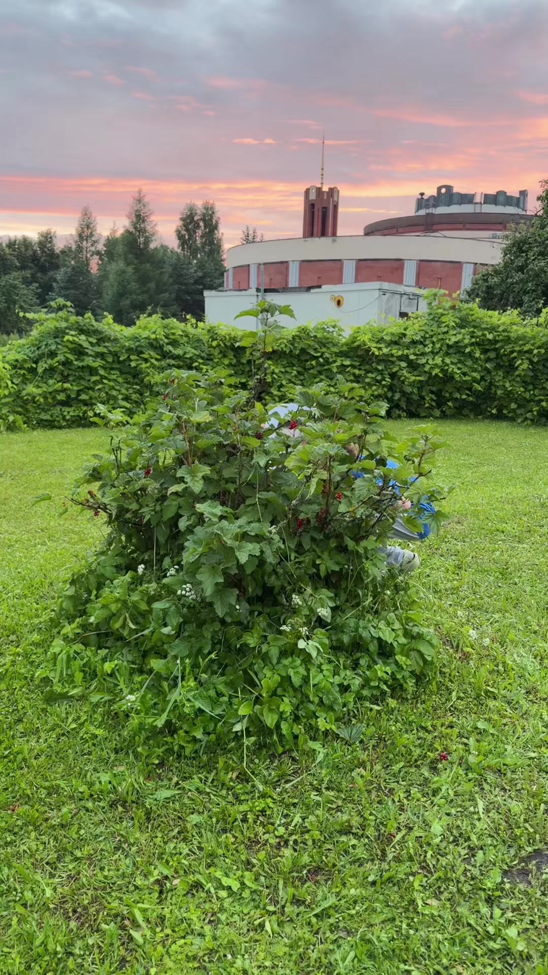 @ФОМА