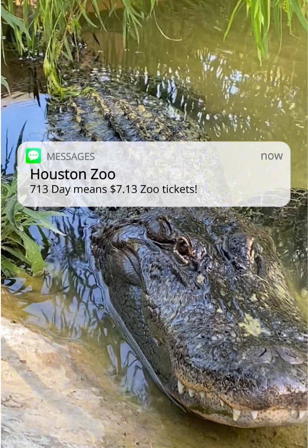 @Houston Zoo