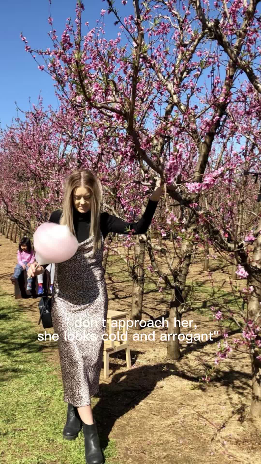 @courtney zuvela