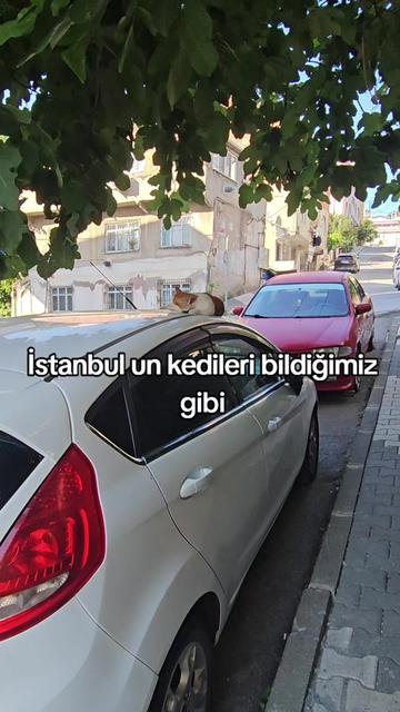 @Erkan Bozkurt