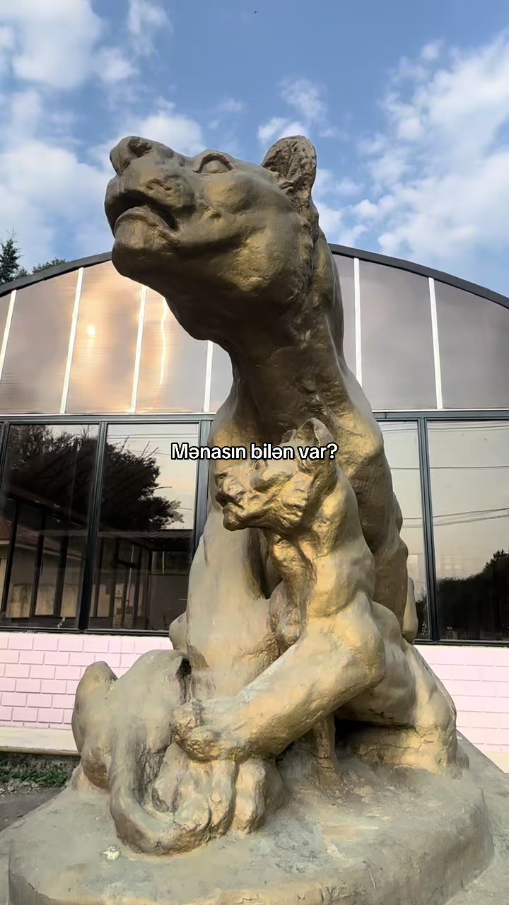 @ℳ𝓊𝓈𝓉𝒶𝒻𝒶𝒶