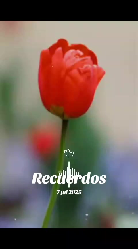 @Keyla Sof&iacute;a
