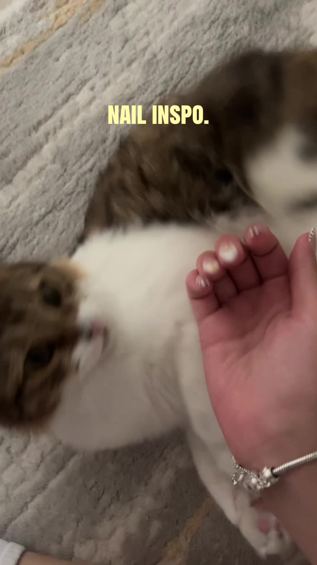 @diloss