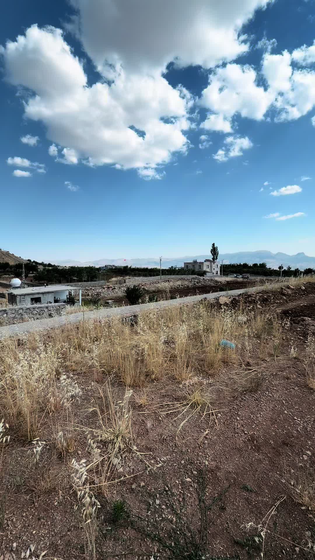 @𝓛𝓮𝔂𝓵&acirc; 𝓑𝓲𝓽𝓮𝓻 🌼