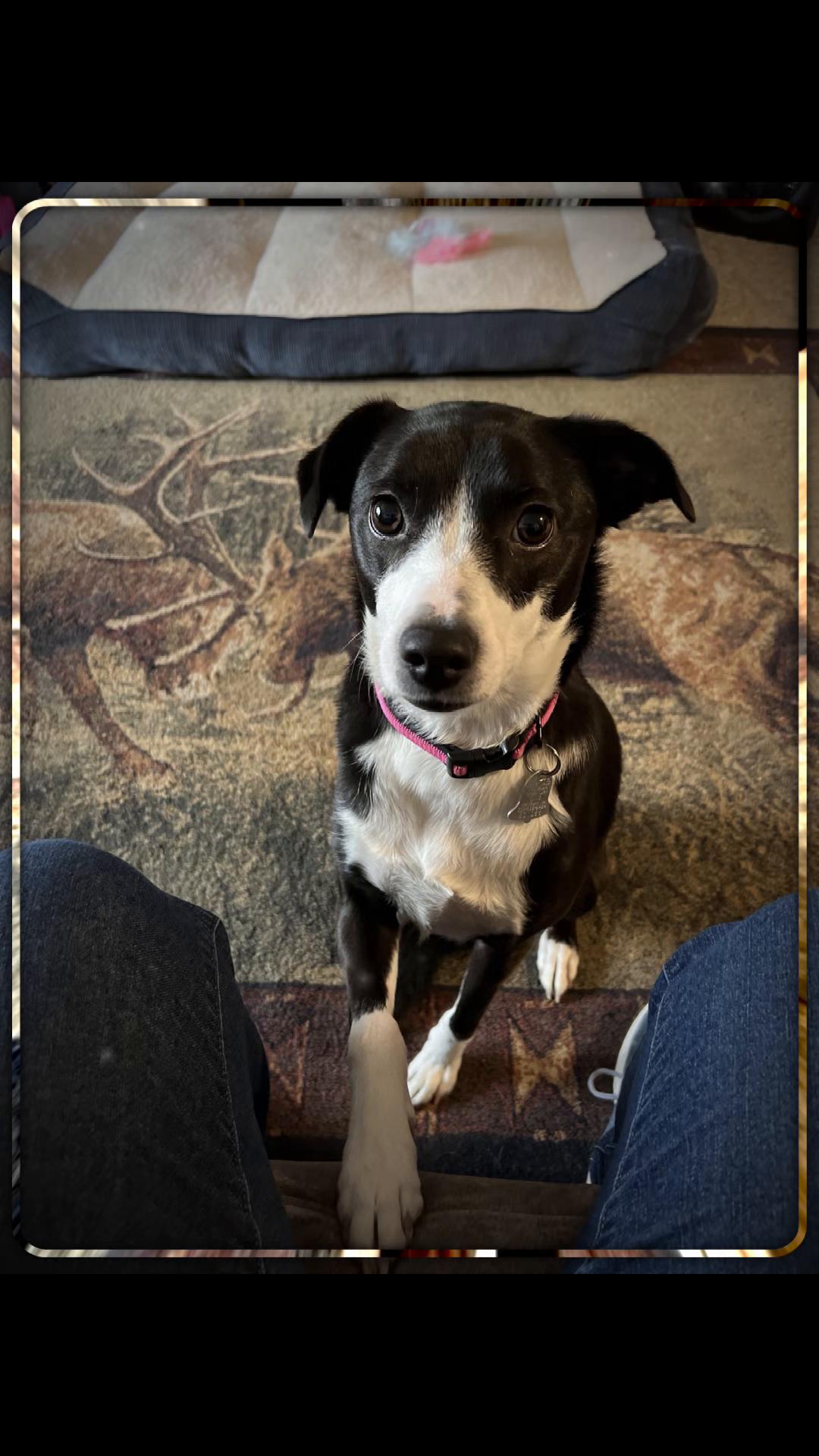 @🖤Shandy🖤