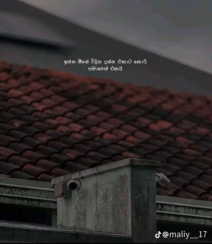 @sachin Lakmal