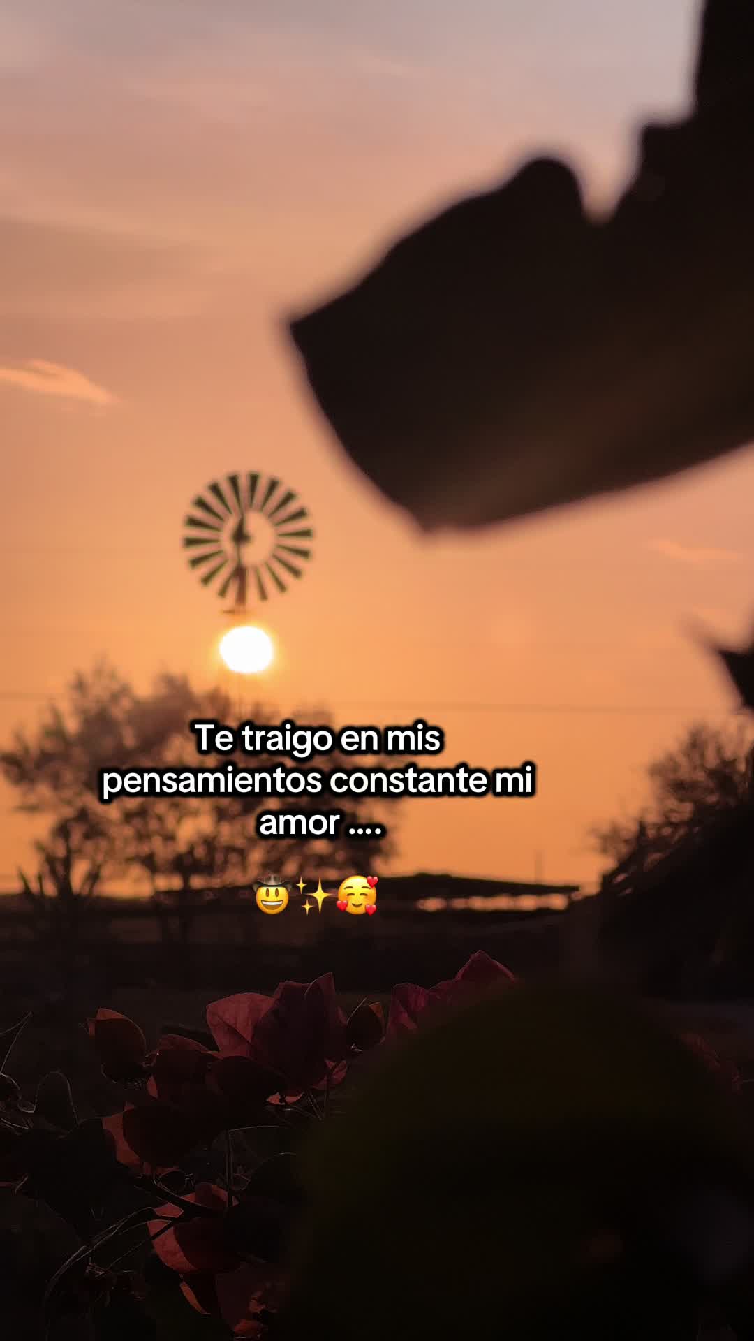 @EL RANCHO🌵🏜️