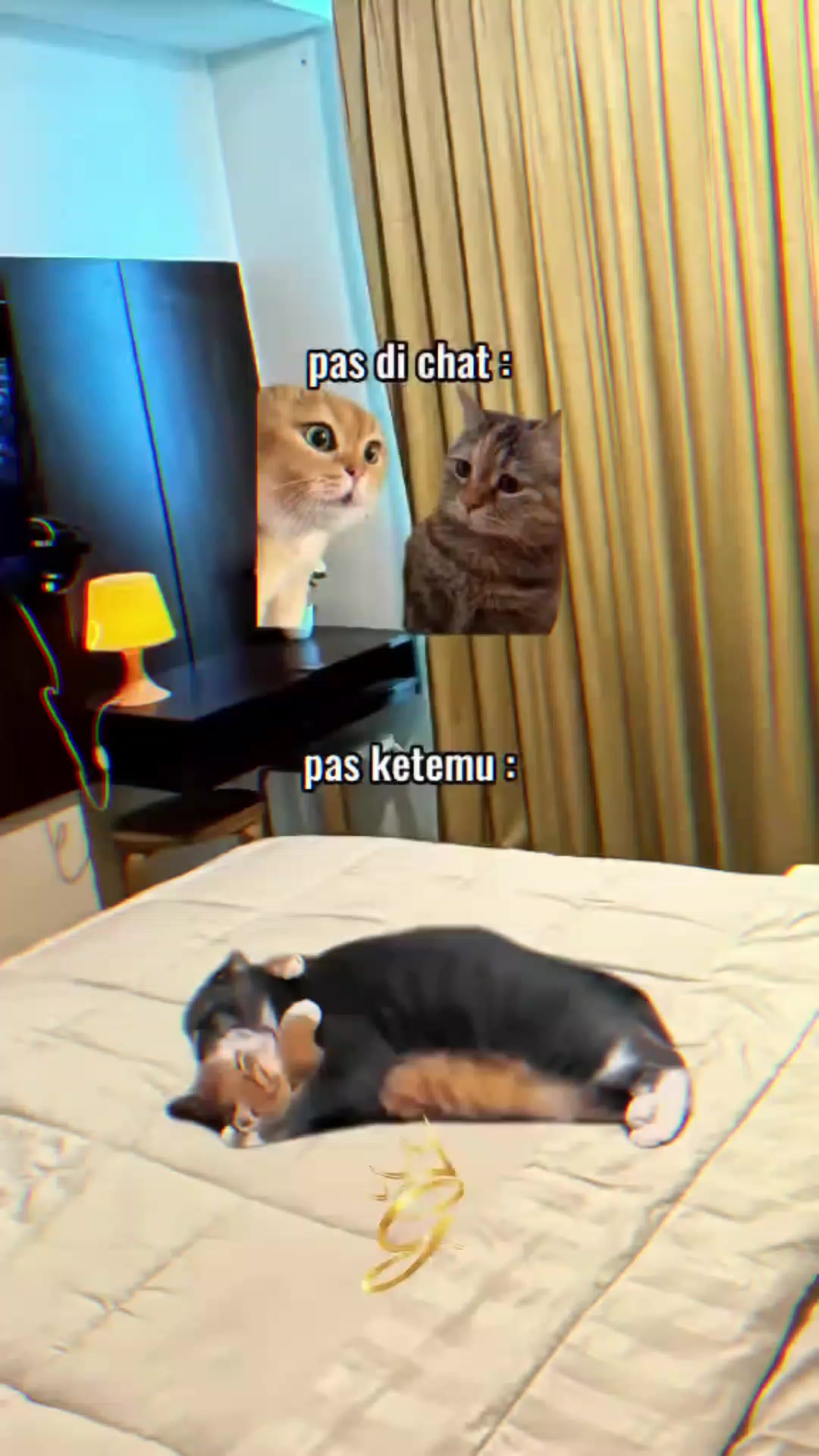 @Rhenotv
