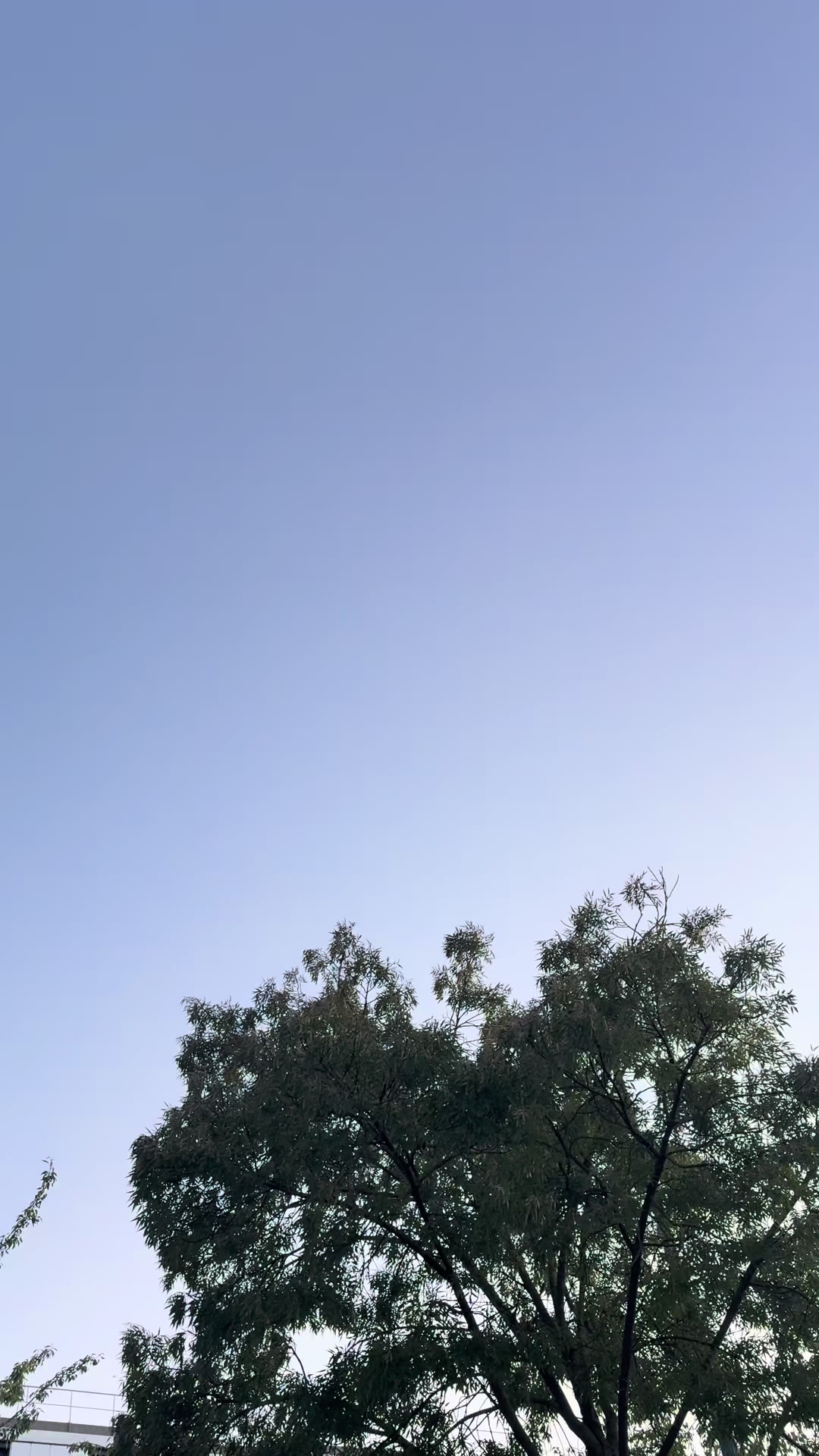 @𝗔𝗯𝗱𝘂𝗹𝗿𝗮𝗵𝗺𝗮𝗻𝗸𝗱𝘇