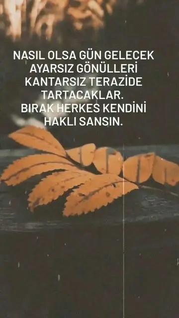 @20_ysn