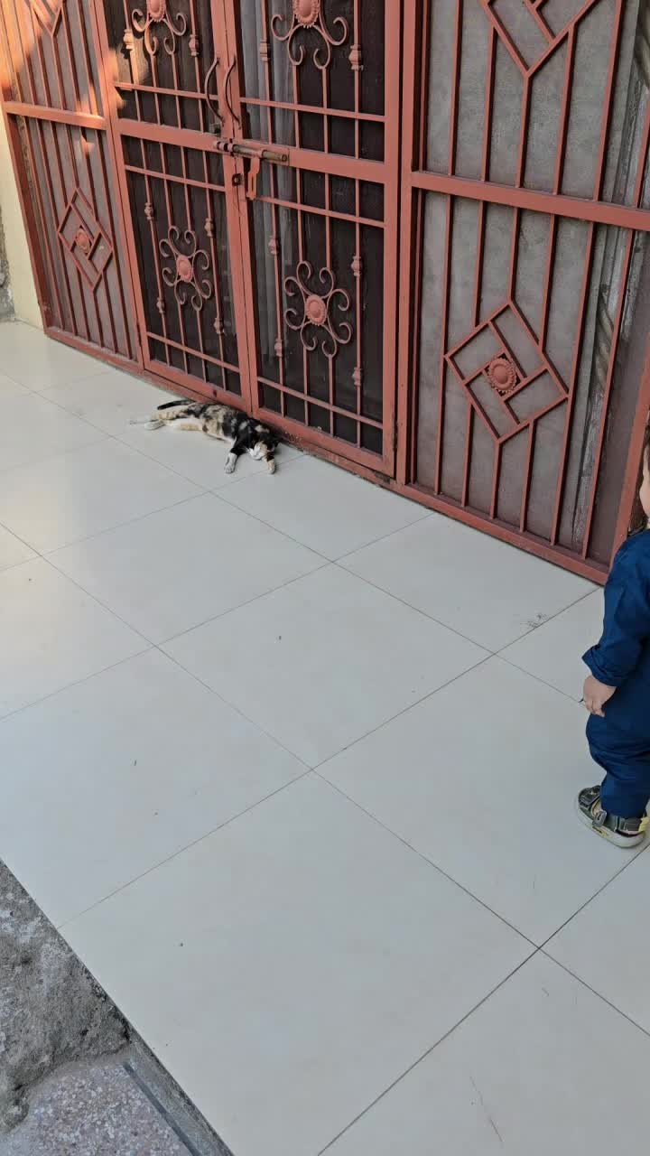 @BuAyat&hearts;️BuMuSa❤️
