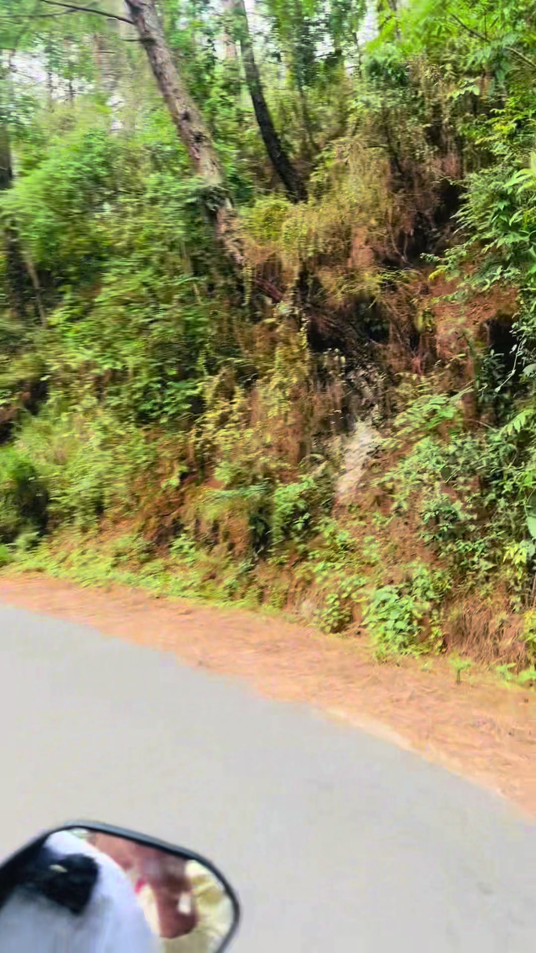 @Indira Limbu