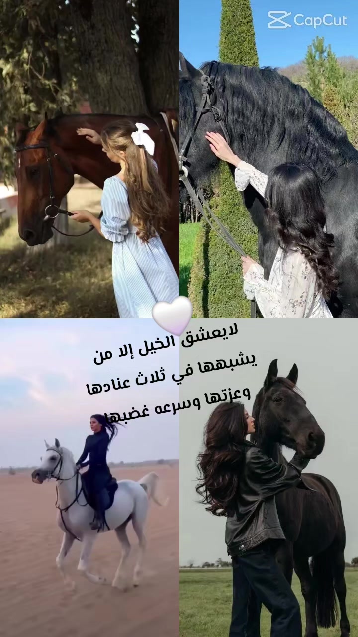 @عطر🌺الورد