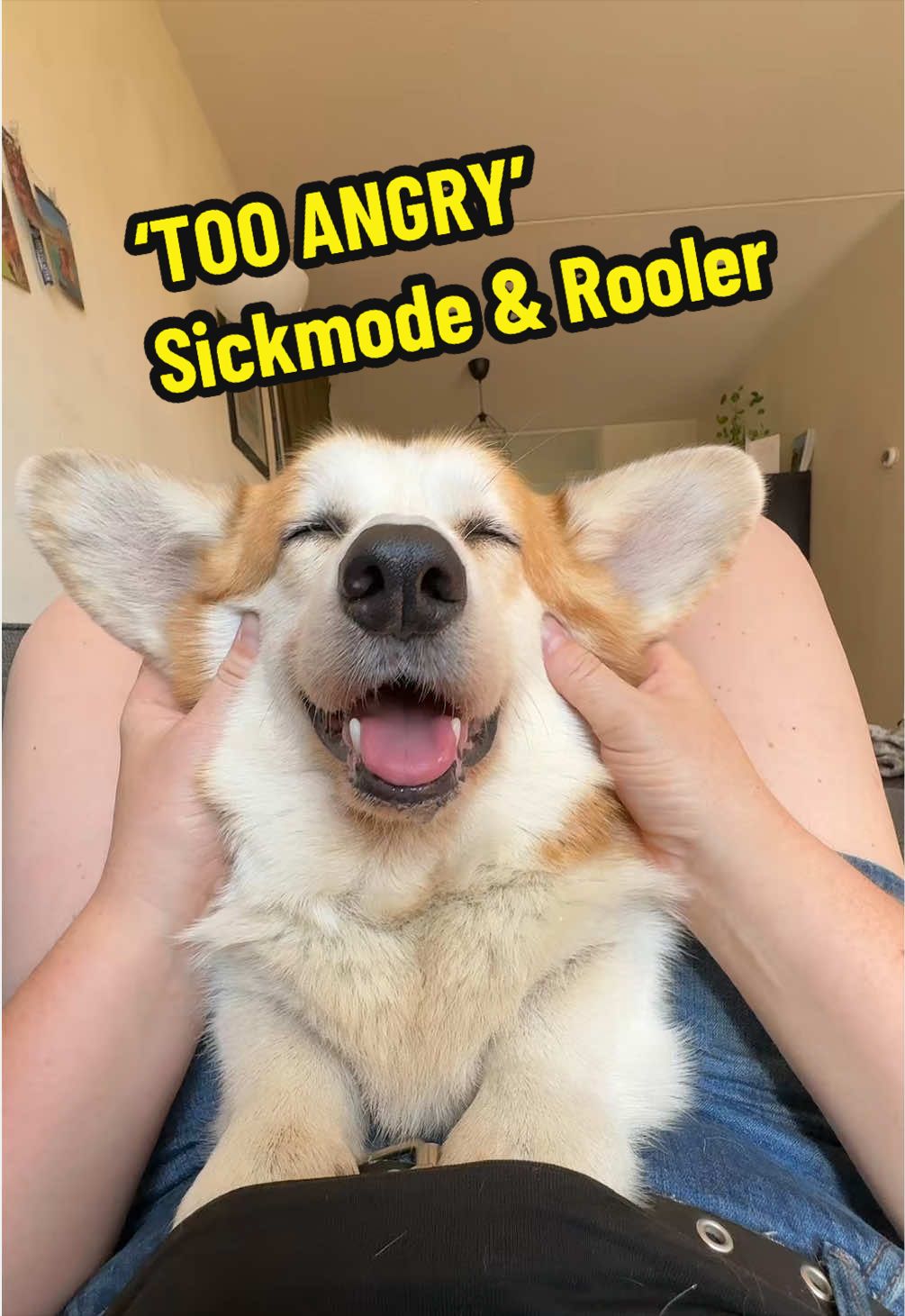 @Kickroll Corgi Charlie 🐶🚀