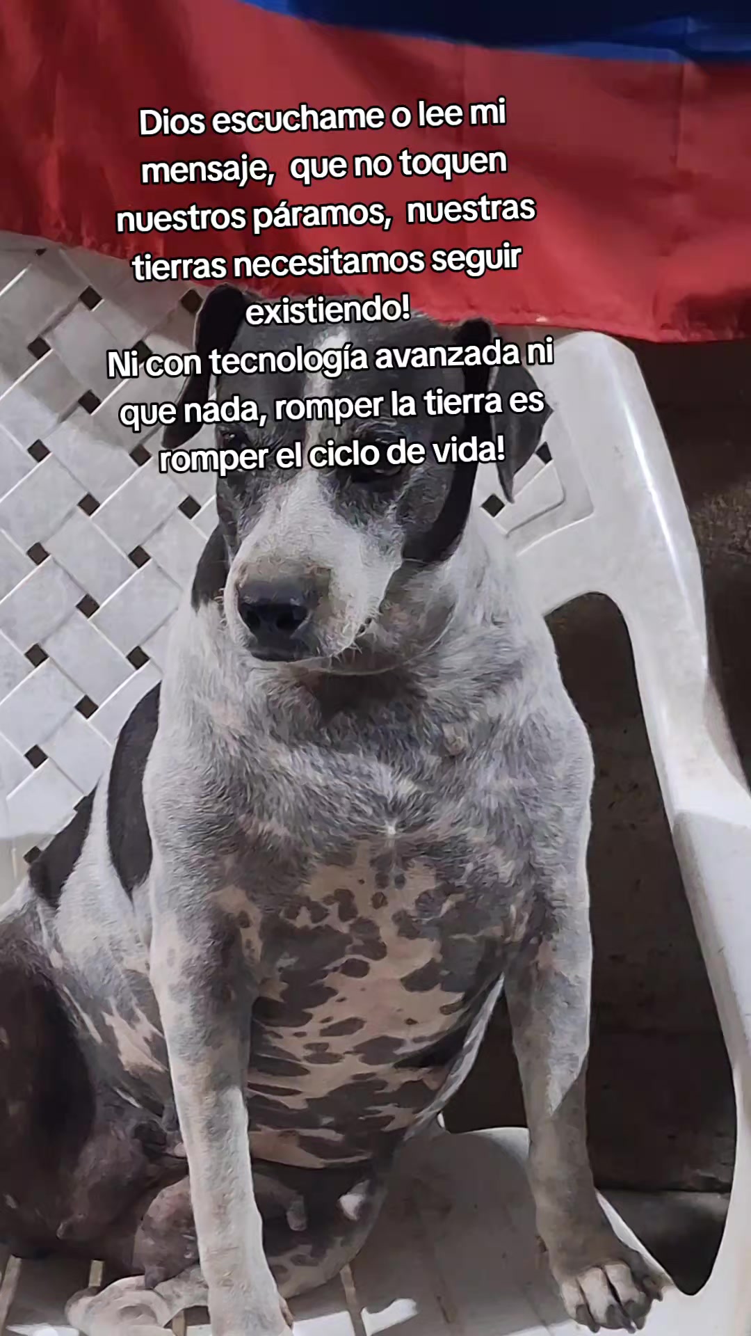 @MANCHAS 0714 OFICIAL