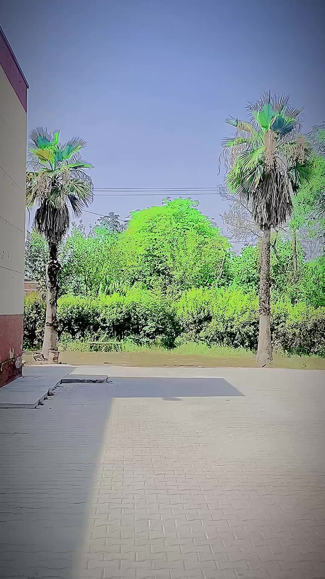 @درد دل