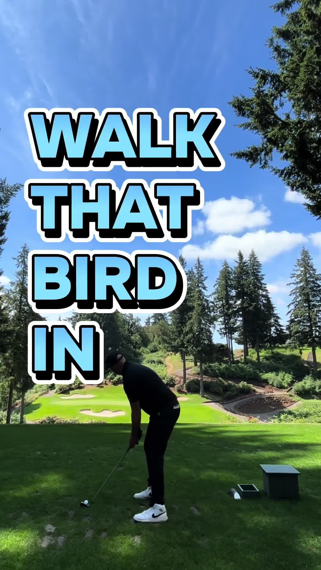 @ChasingAcesGolf