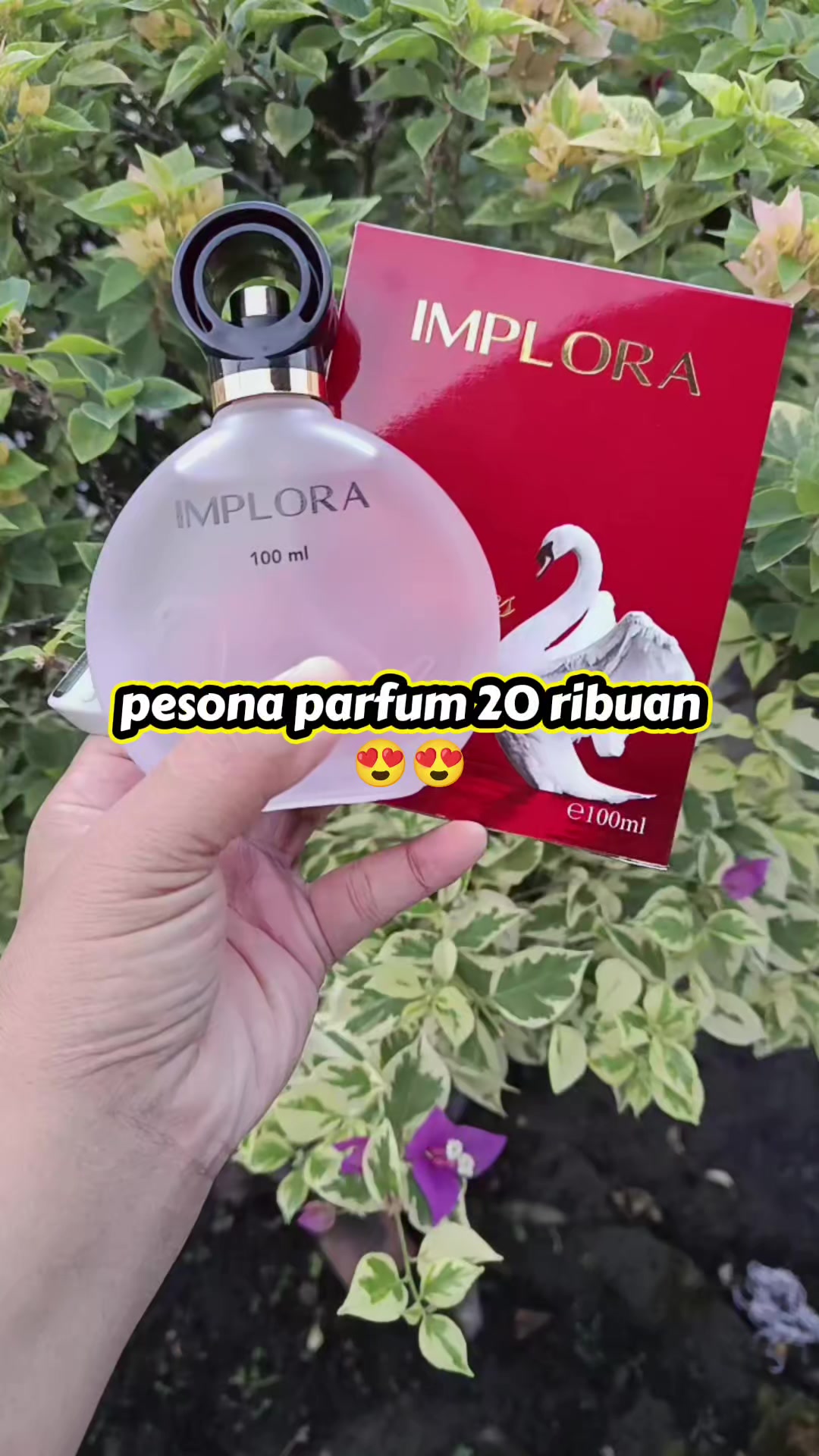 @🛍️ Etalase Dian