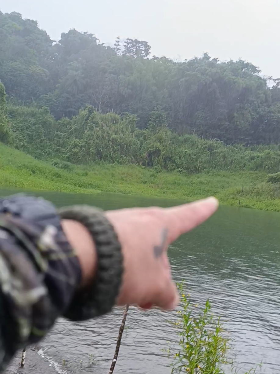 @SunnyFishingCR