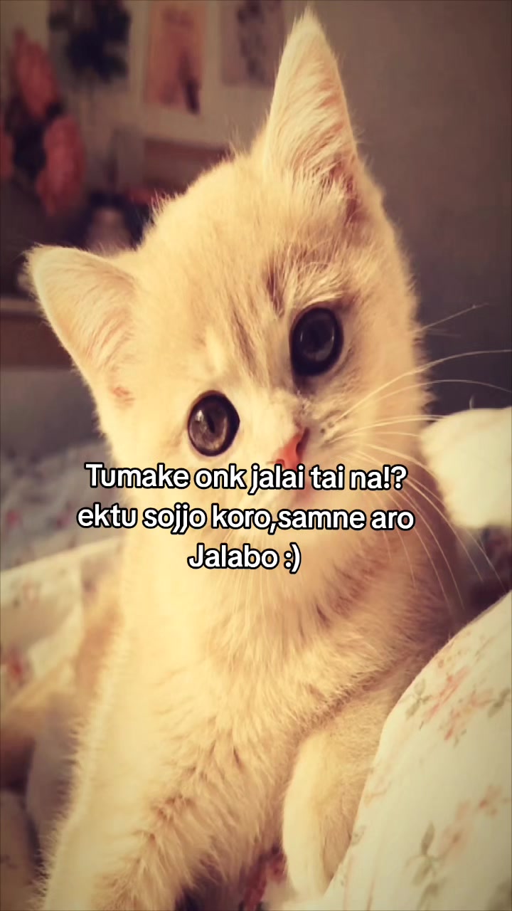 @Ehh?
