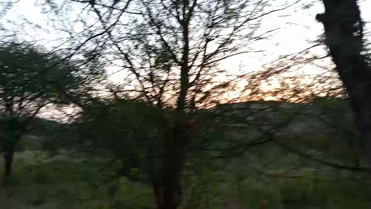 @𝔾𝕣𝕖𝕒𝕥 𝕊𝕀ℝ 𝕁𝕆𝕊𝔼