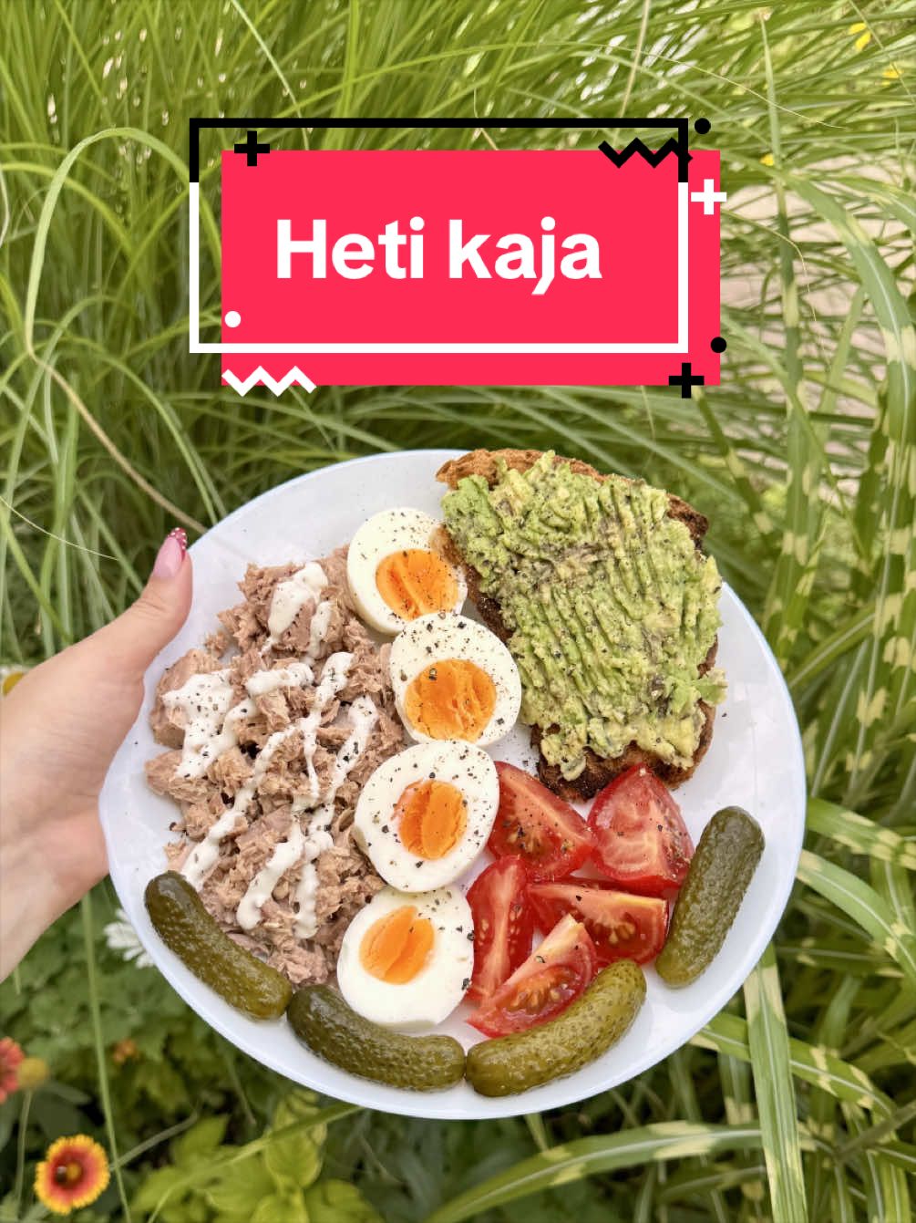 @T&iacute;m&aacute;r Fanni ✈️ 🍜 🌎