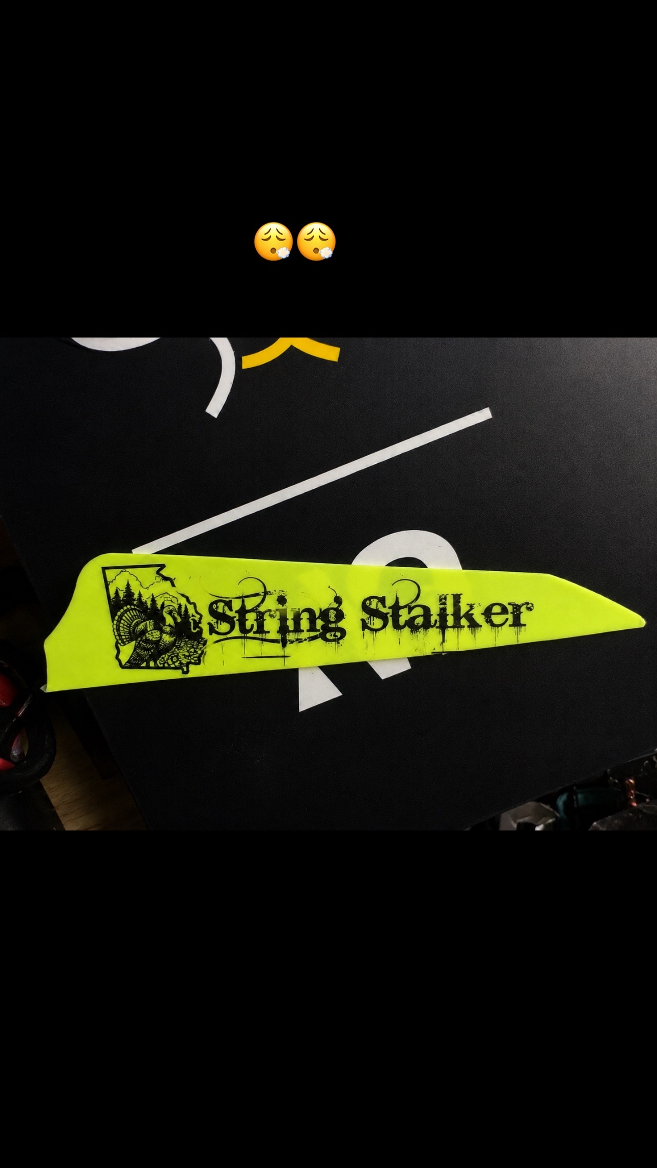 @GEORGIA STRING STALKER