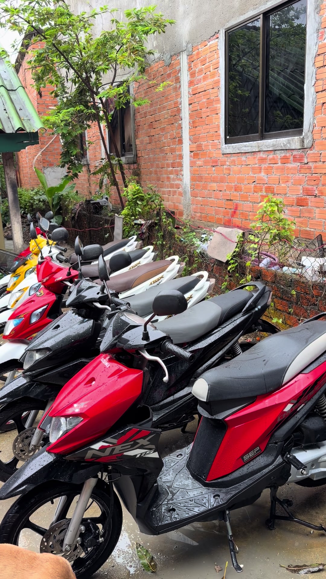 @Bro Sok 🧸093512123📞