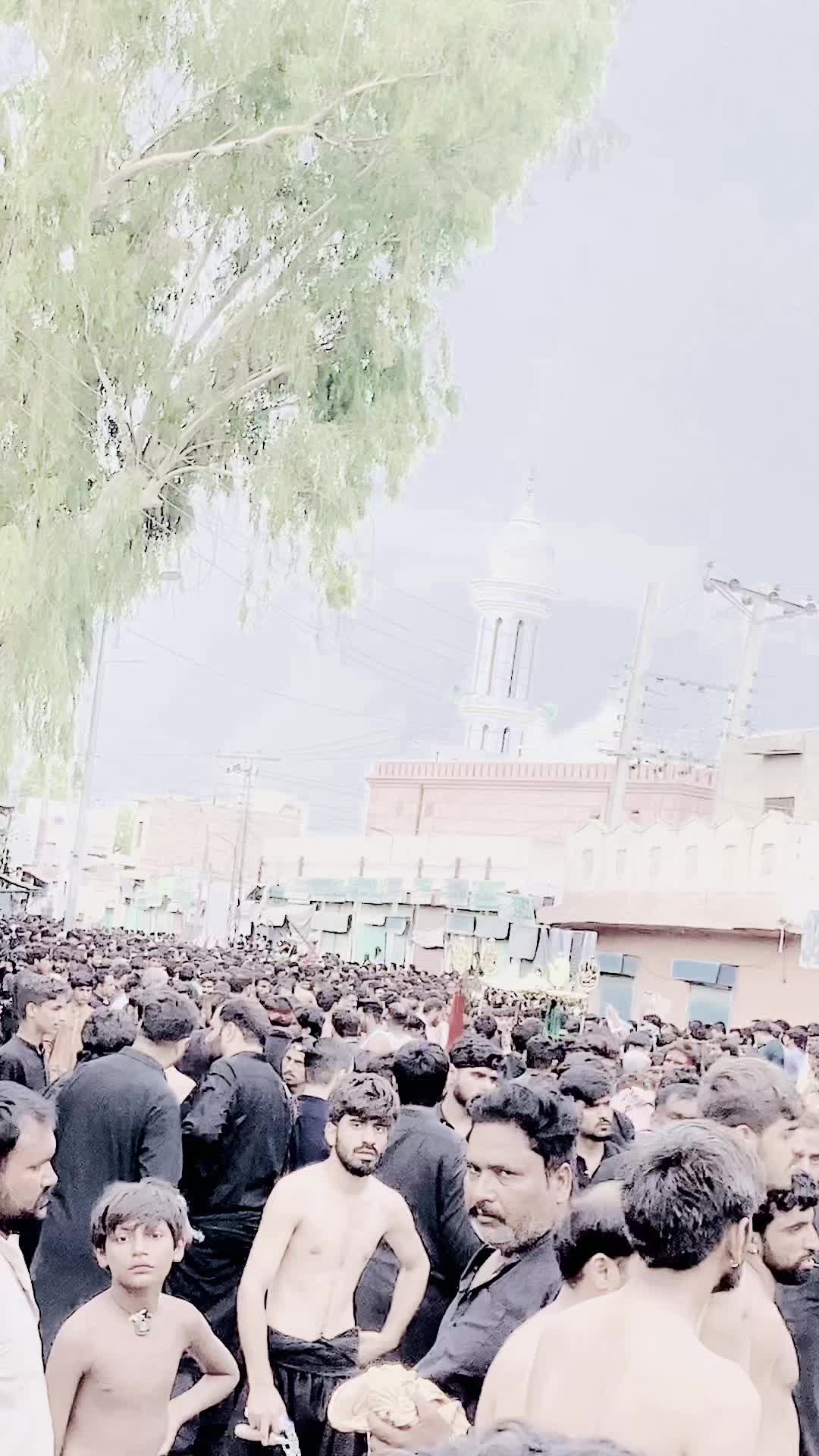 @Makhdoom Qasid Bukhari 👑🙇
