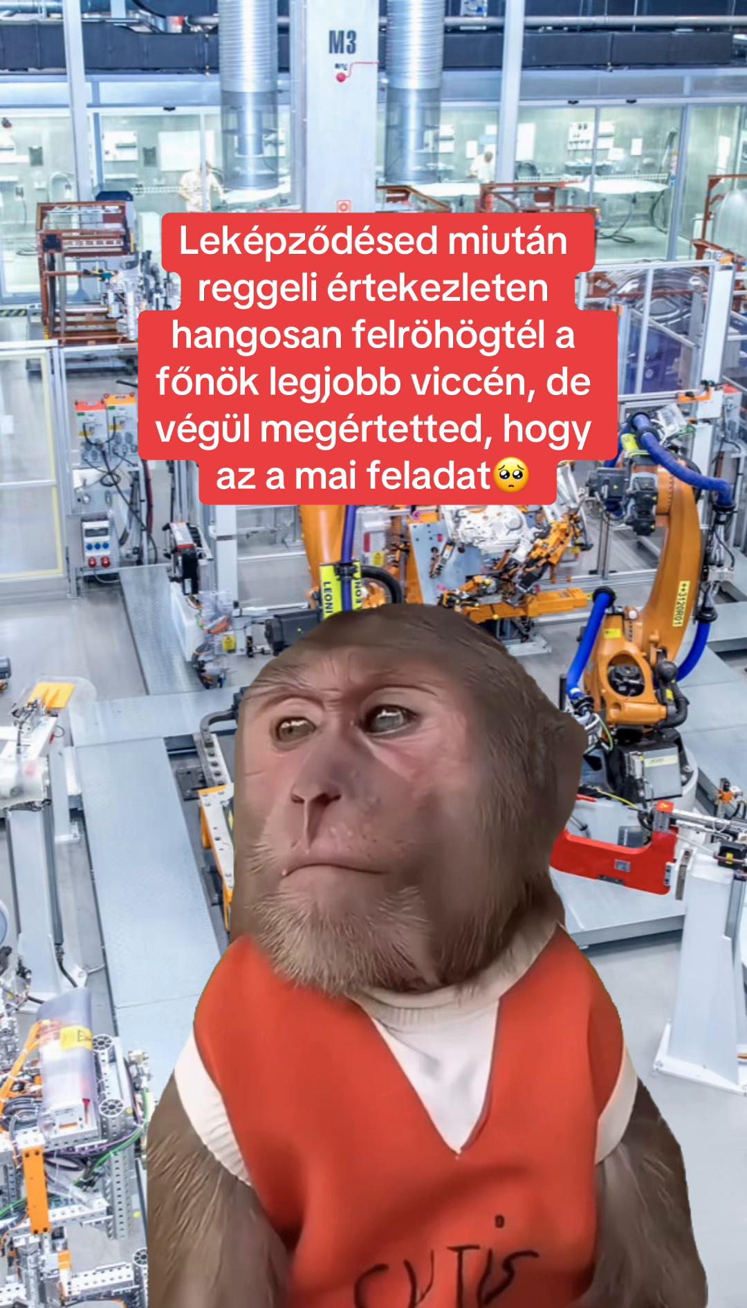 @MemeFactory