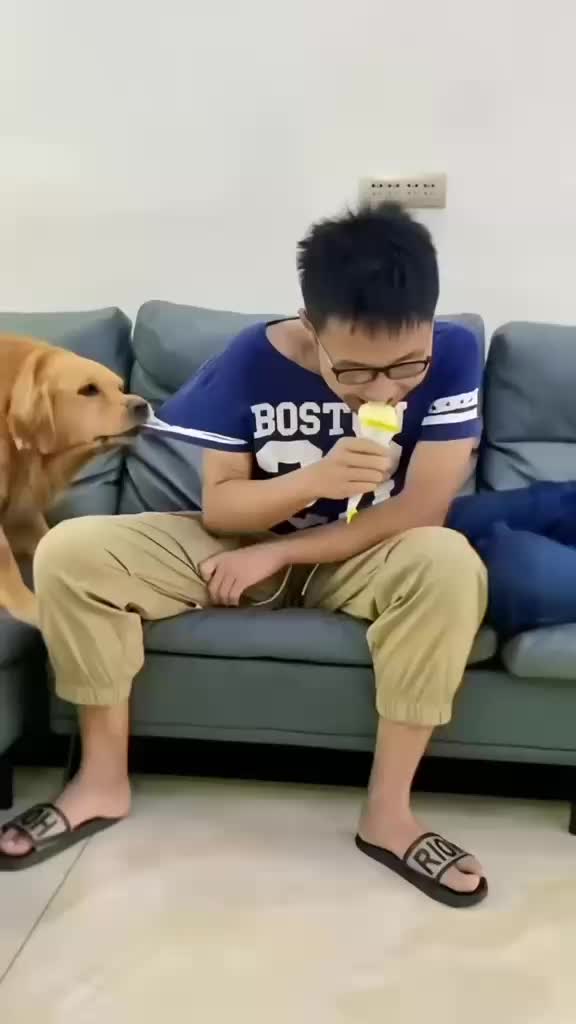 @Funny