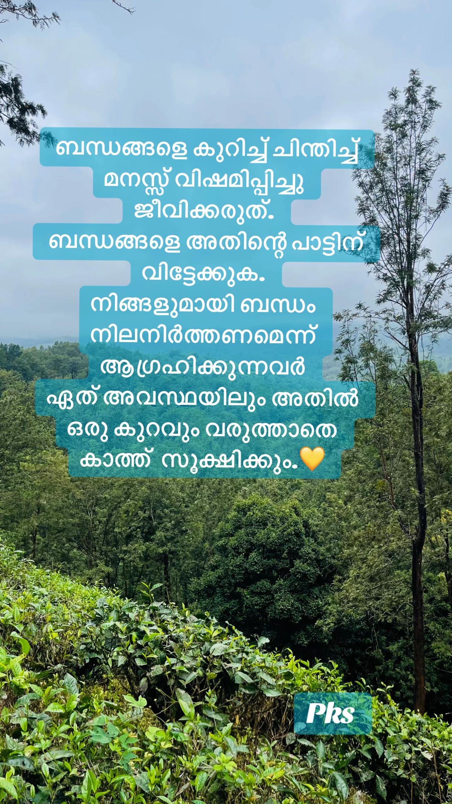 @PK.ShaFeeQ RUH❤️