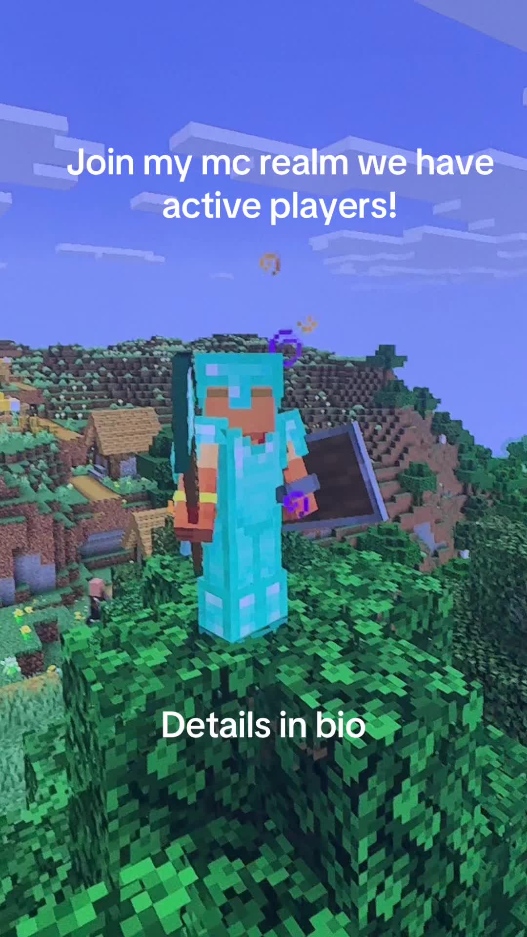 @VillagerSMP