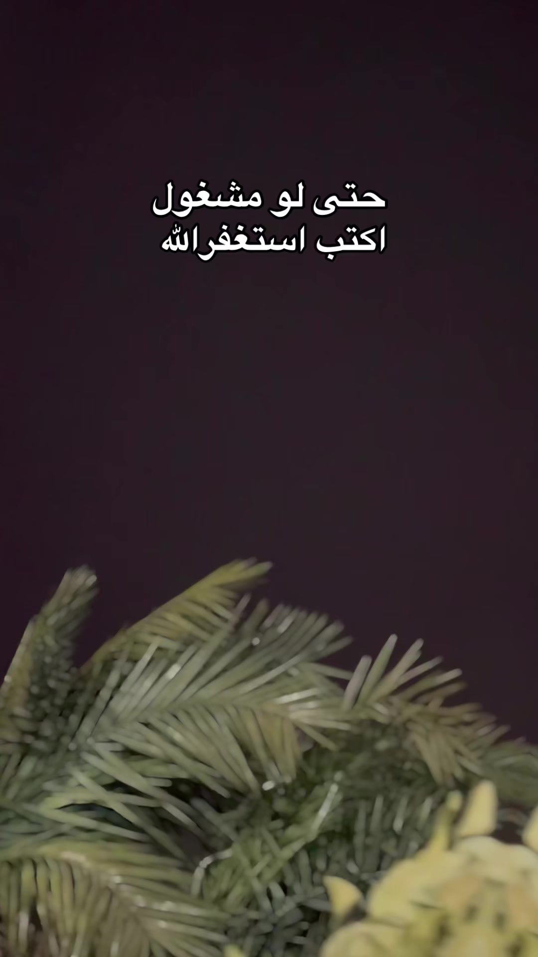 @هيـــّــآف  𓃚