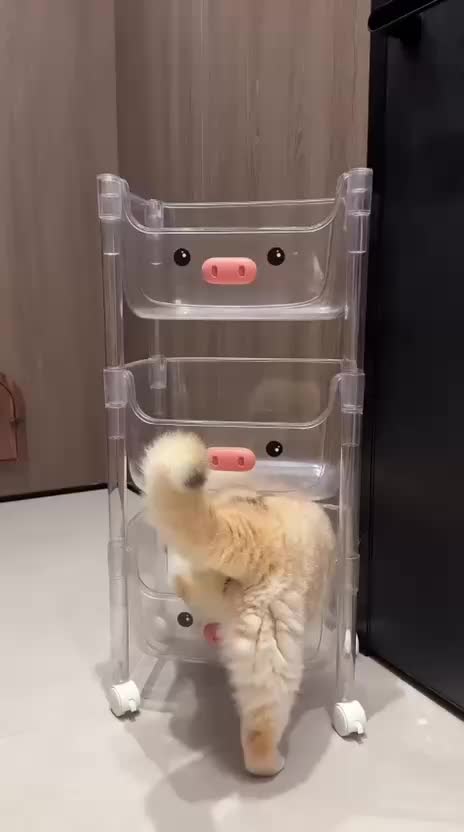 @Funny