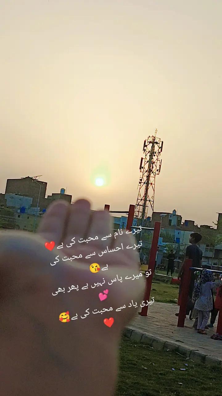 @Musa Ali8545