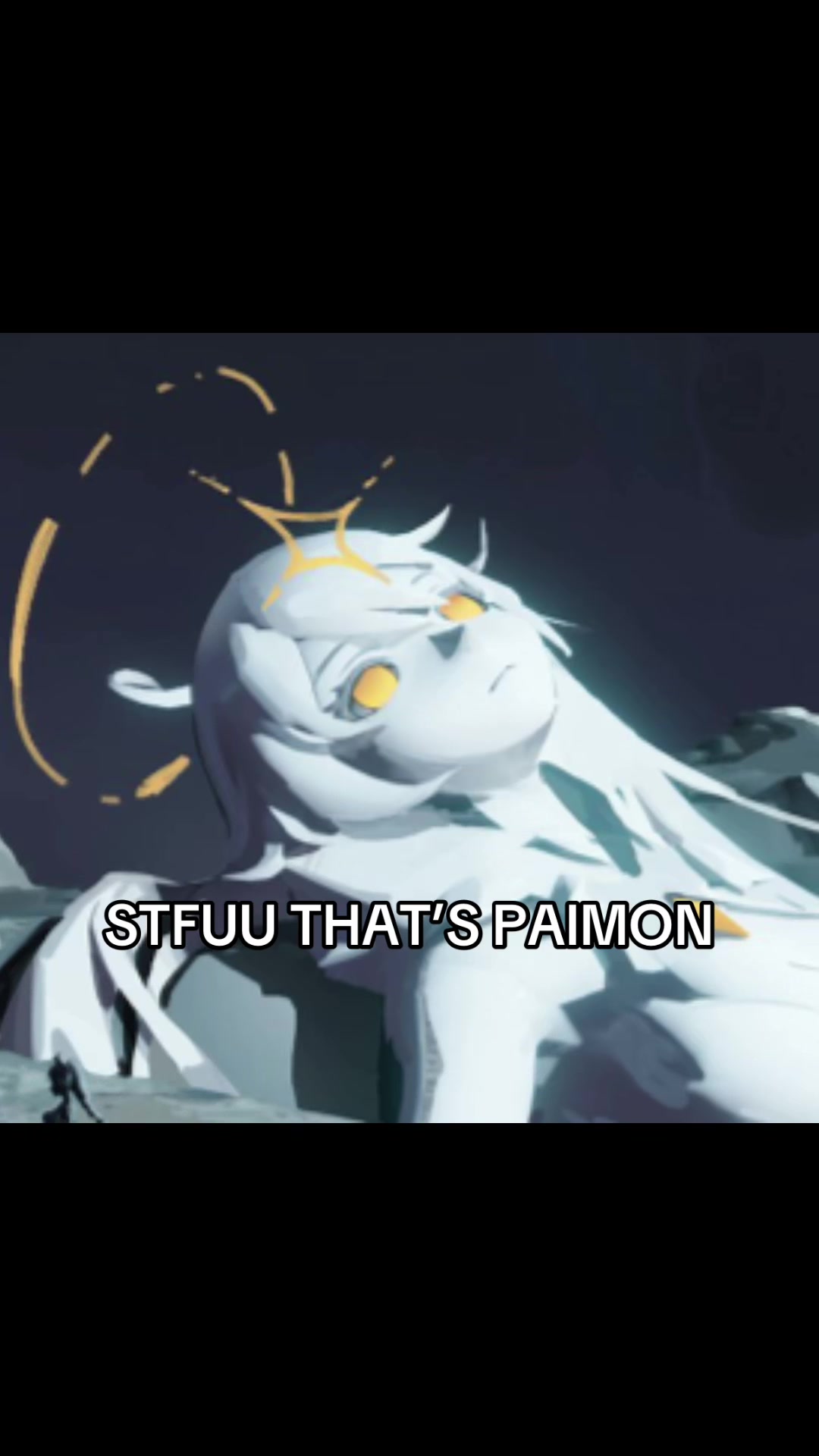 @seba