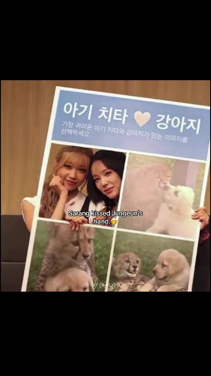 @Jungeun 🐯💫
