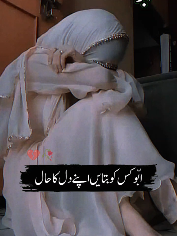@Sawaira Naaz