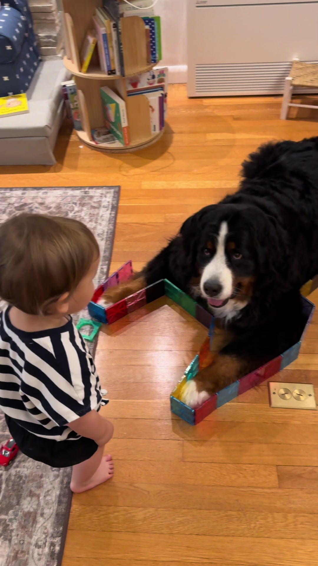 @Ivy the Berner