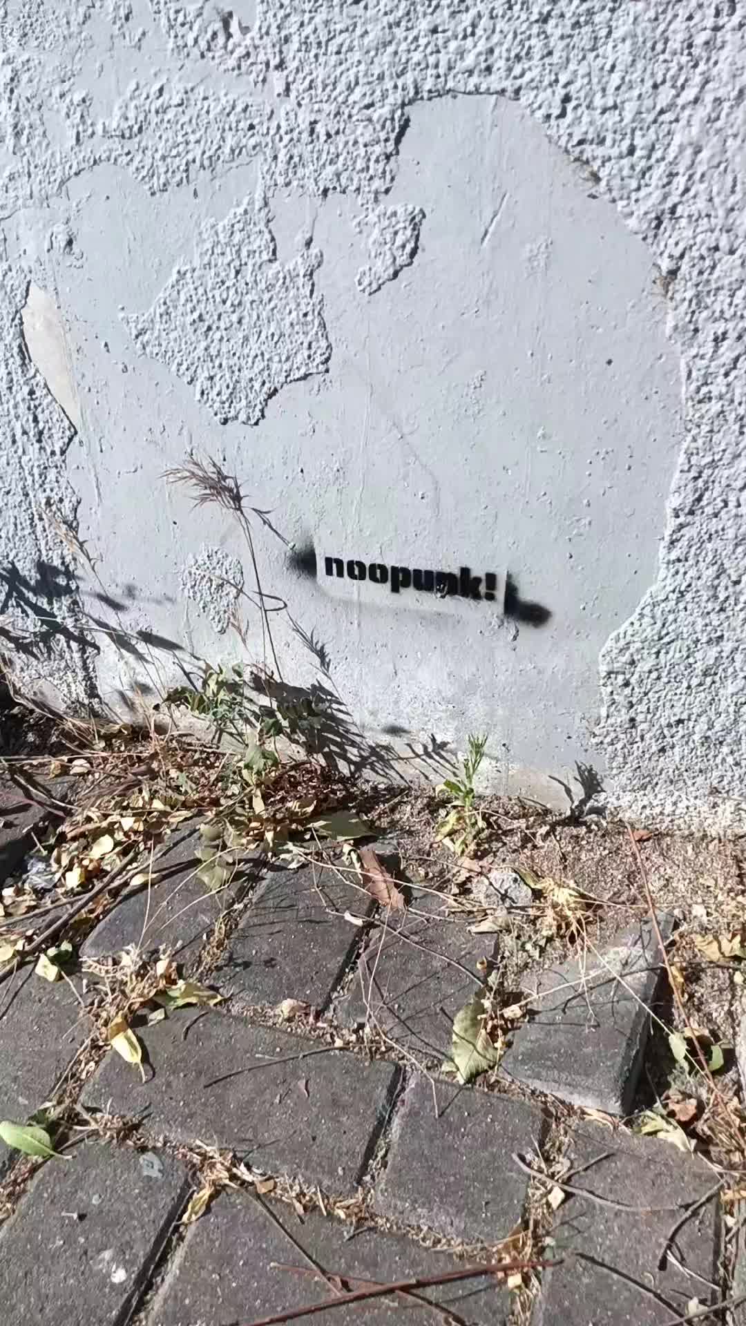 @noopunk