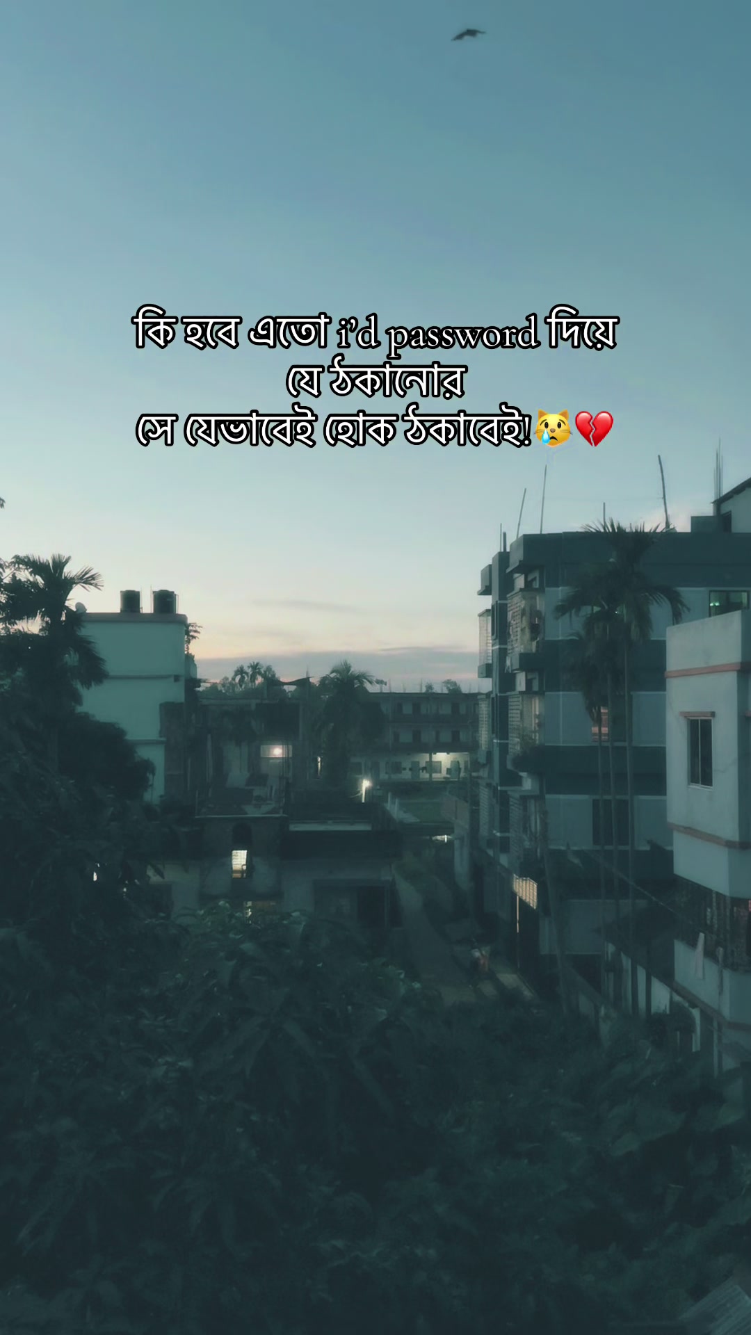 @WHO&bull;?🫧