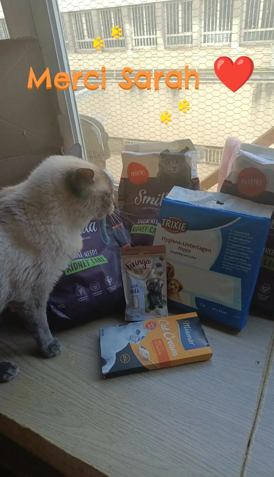 @🐾Les-Petits-Prot&eacute;g&eacute;s-de-Freya