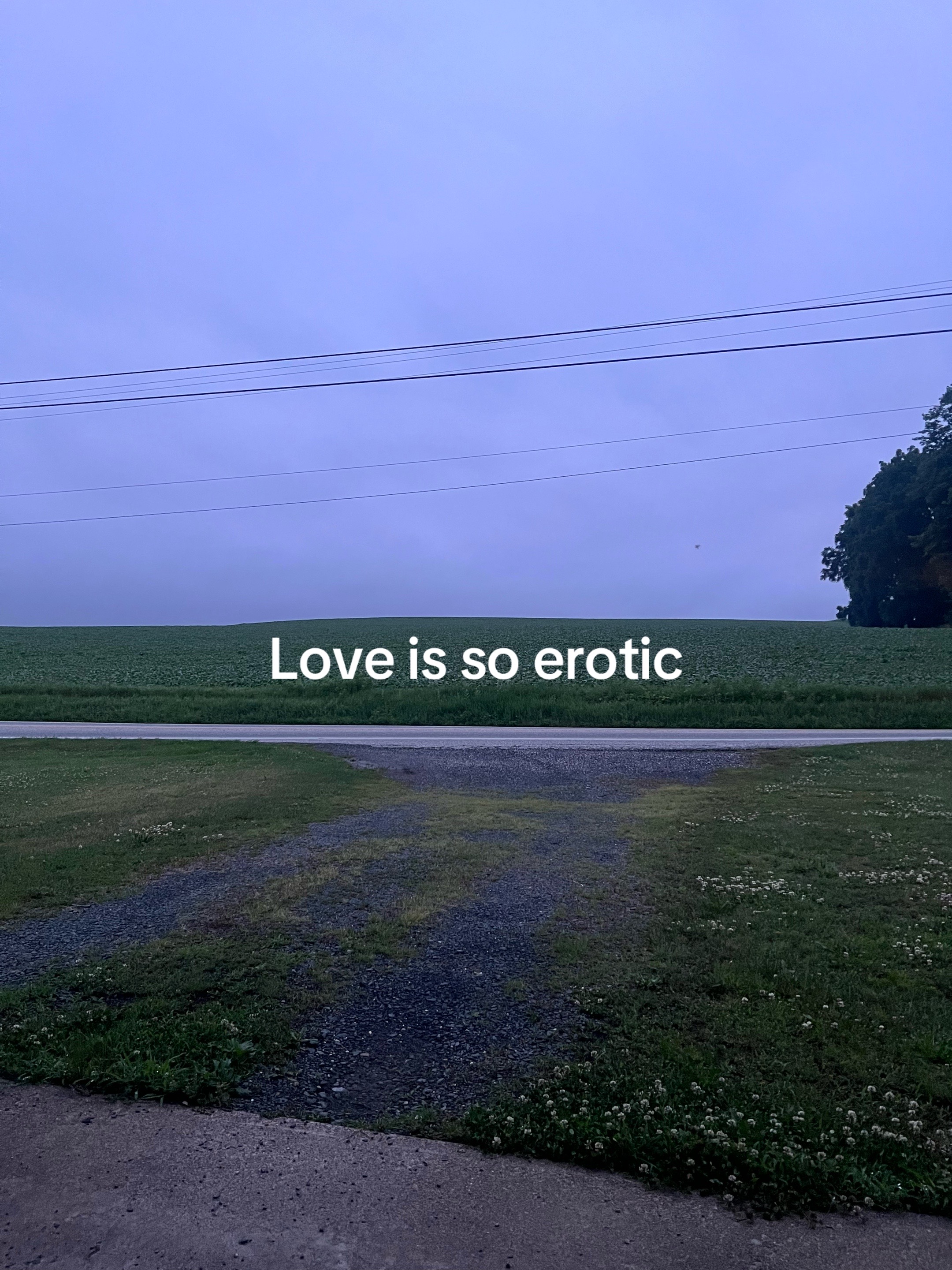 @🪛