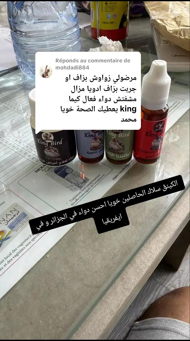 @King Bird 🐦