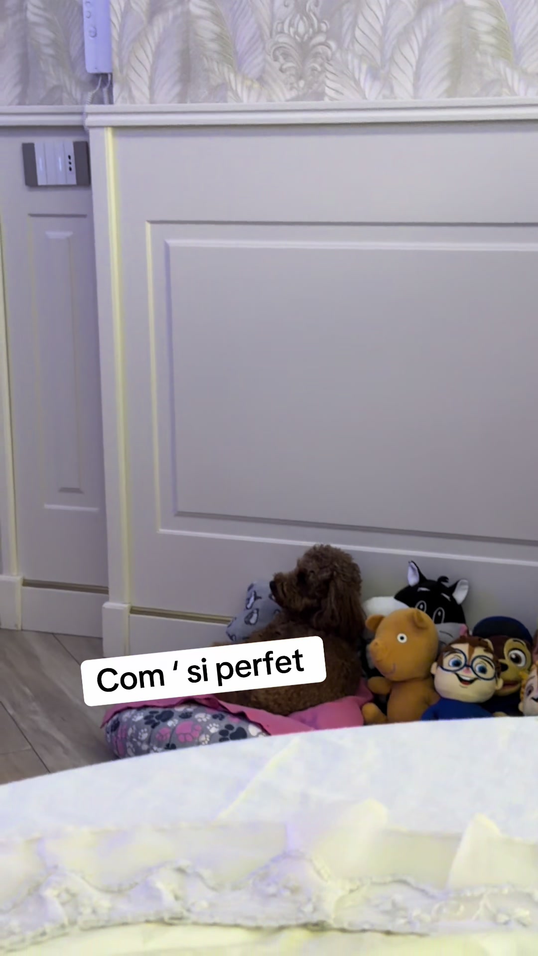 @misterpellapazzofamily1
