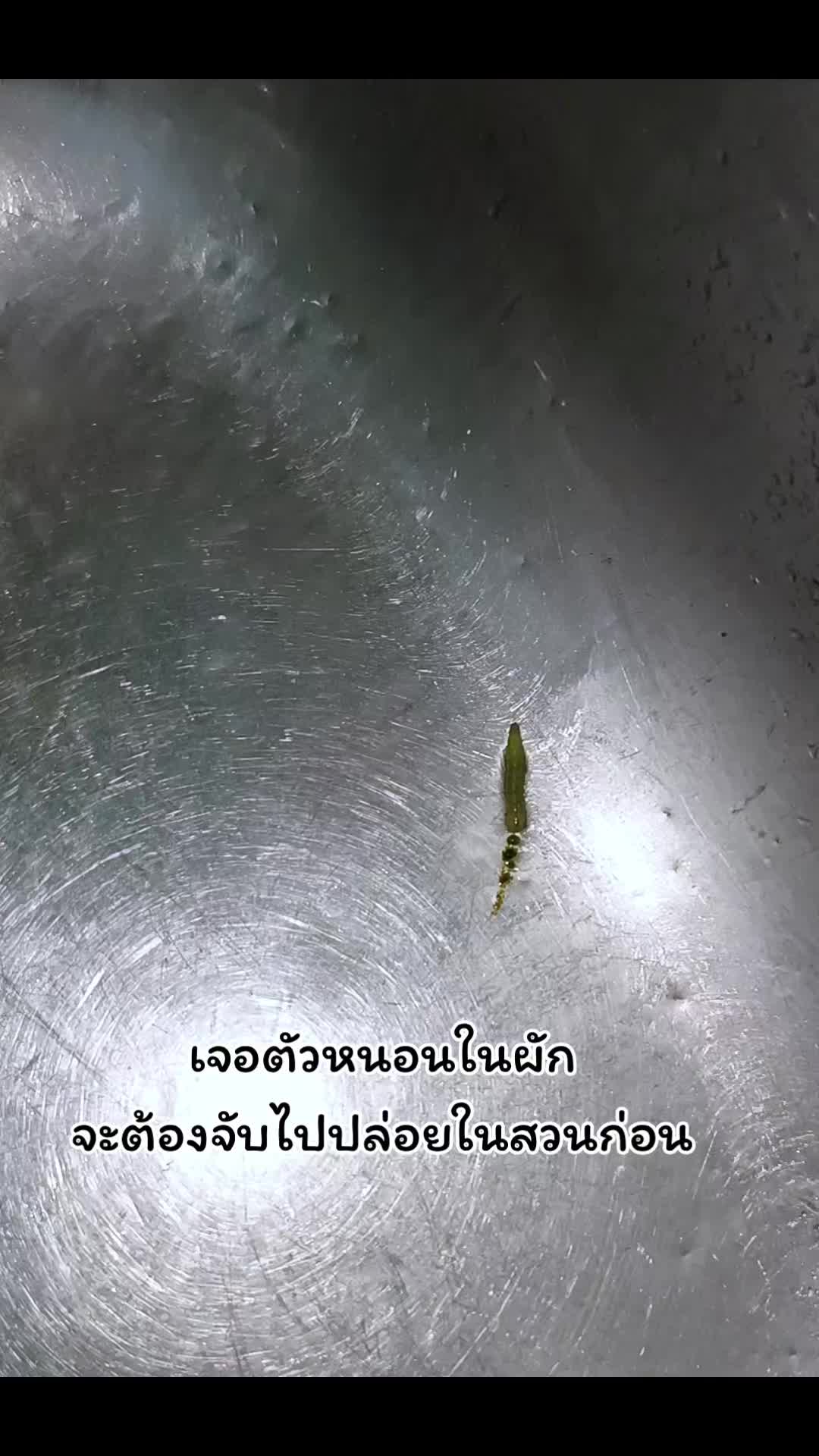 @นิ ณิชารินทร์